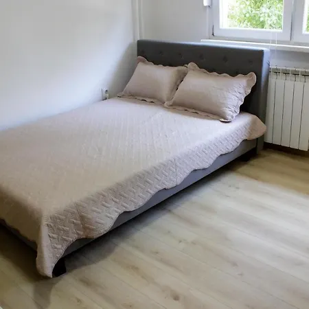 Comfy 图兹拉